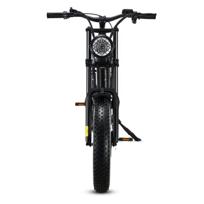 Fatbike Z8 - Image 6