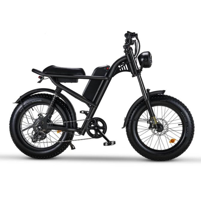 Fatbike Z8 - Image 2